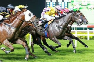 Viviano (NZ) claimed the $100,000 Kranji Stakes, taking his earnings to more than six times his purchase price.